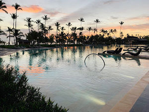 Meet your Posher, Robyn